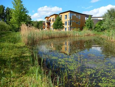 Natuur is overal, niet alleen in natuurgebieden