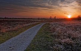 Provincie Noord-Brabant - Voor éénmalig gebruik