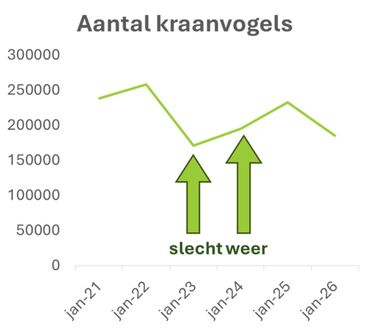 Resultaten van de Spaanse tellingen van de afgelopen jaren. De jaren 2023 en 2024 geven een vertekend beeld, omdat er toen slecht zicht was tijdens de tellingen. Dit jaar zijn de tellingen wel met goed weer uitgevoerd. Dat kan de daling in 2026 dus niet verklaren