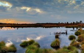 Herbert Aust Panorama heide met ven