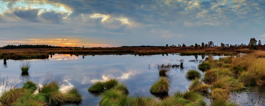 Panorama heide met ven