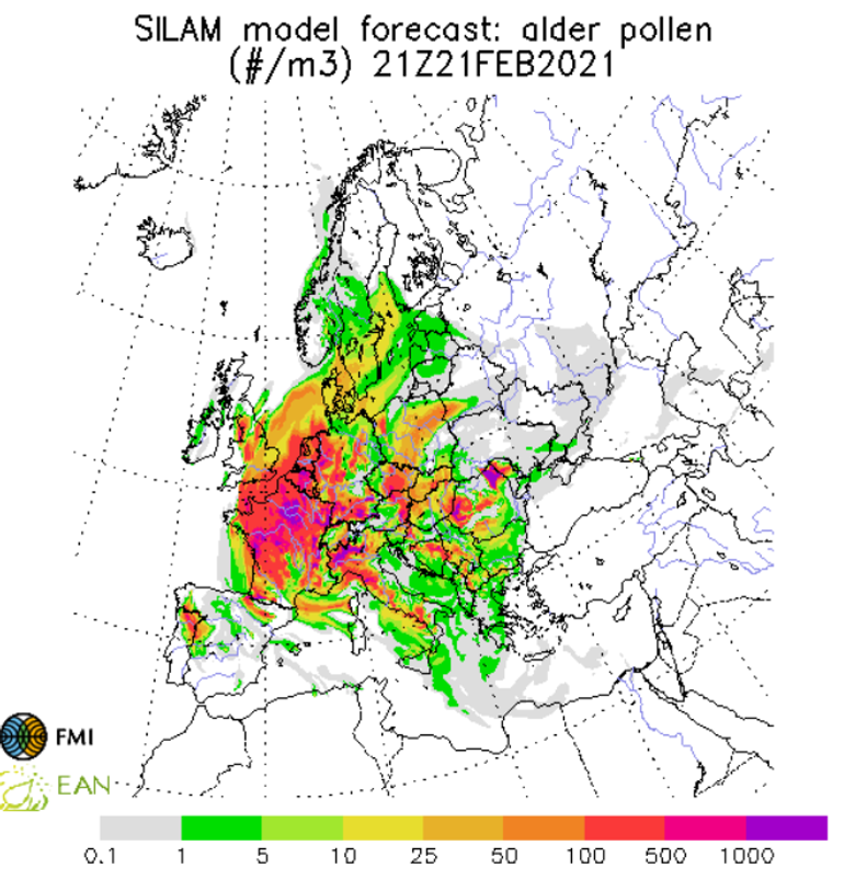 Verwachting pollenconcentratie van de els in Europa voor 21 februari 2020 om 21 uur