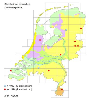 Verspreidingskaartje Doolhofraspzwam