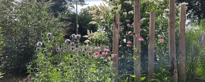 Een tuin die Esmee heeft aangelegd