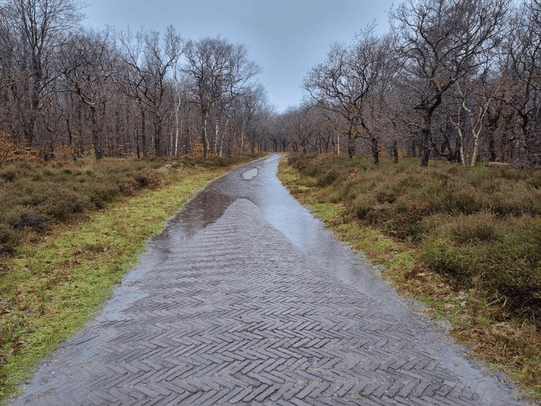 Een ondergelopen pad