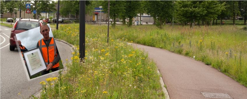 berm met eerste kleurkeuroorkonde - primair