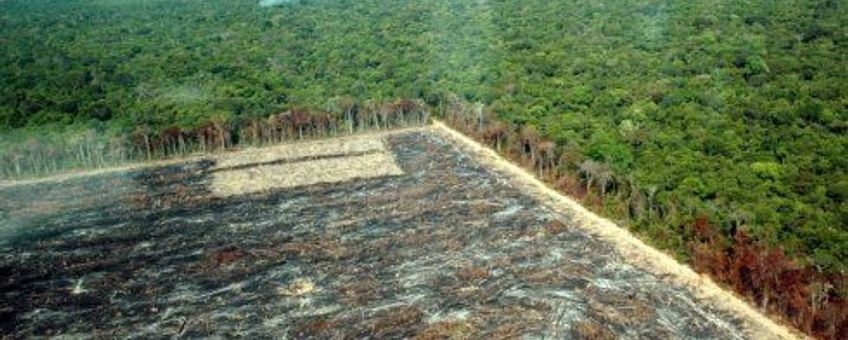 Amazone-ontbossing in MatoGrosso