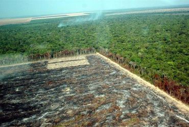 Amazone-ontbossing in MatoGrosso, Brazilië