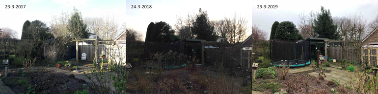Verschil in ontwikkeling van achtertuin tussen 2017, 2018 en 2019 rond 23 maart