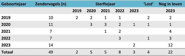 Aantal als nestjong gezenderde, gestorven en nog in leven zijnde jonge rode wouwen in 2019-2023