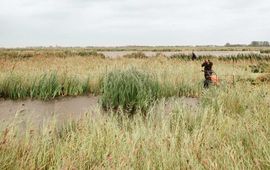 Staatsbosbeheer Ons beheer is de laatste jaren gericht op veenmosrietland.
