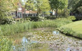 Challenge Groene Icoonprojecten voor klimaat en biodiversiteit