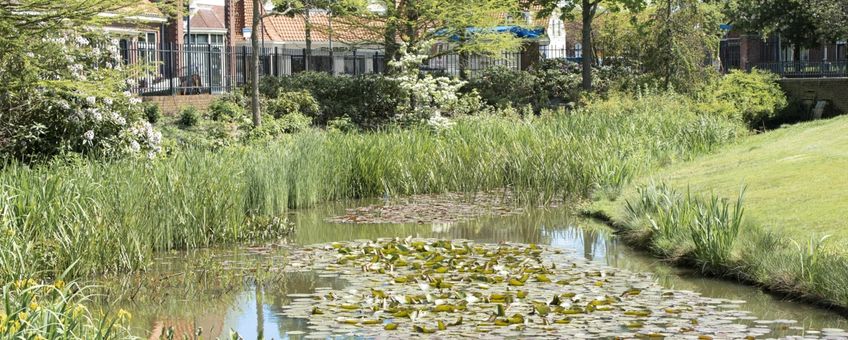 Challenge Groene Icoonprojecten voor klimaat en biodiversiteit