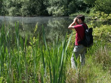 Veel natuurwaarnemers trekken er in hun eentje op uit