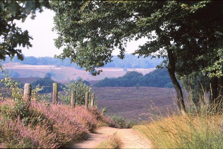 Nationaal Park Veluwezoom