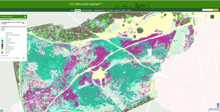 Gedetailleerde vegetatiekaart Loonse en Drunense duinen
