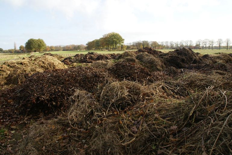 Bermmaaisel als bodemverbeteraar