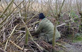 Beverburcht Kuipersveer