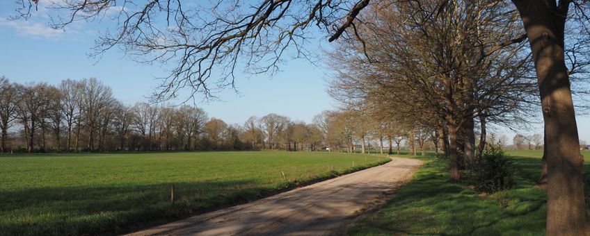 Landschap rondom Bathmen