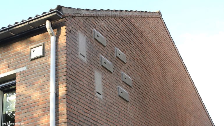 Bij renovatie en nieuwbouw worden steeds vaker verblijfplaatsen voor vleermuizen, huismussen en gierzwaluwen ingebouwd, maar de monitoring naar de functionaliteit van deze voorzieningen loopt nog achter