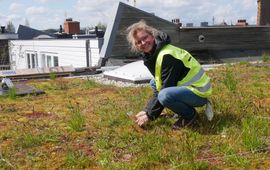 Onderzoekster Eva Drukker tijdens veldwerk op een groendak in Amsterdam