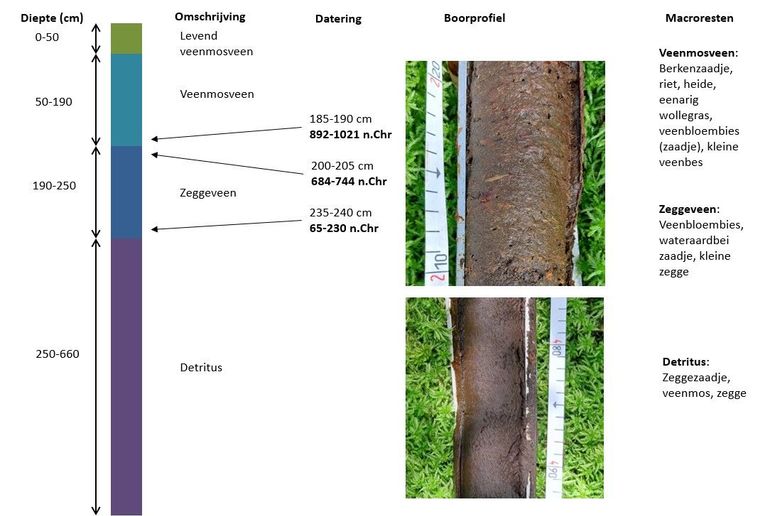 Het veenprofiel op het eiland in het Bleeke Meer. Schematische weergave van het boorprofiel (links), de uitkomst van de C14-datering (midden), fragment van het veenmosveen (midden boven), fragment van de detritus (midden onder) en enkele gevonden macroresten (uiterst rechts)