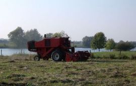 Arnold van Vliet gemaaid gras