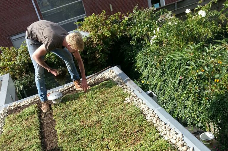 Mark aan de slag op zijn groene dak 