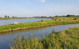 Jelger Herder natuurvriendelijke oever