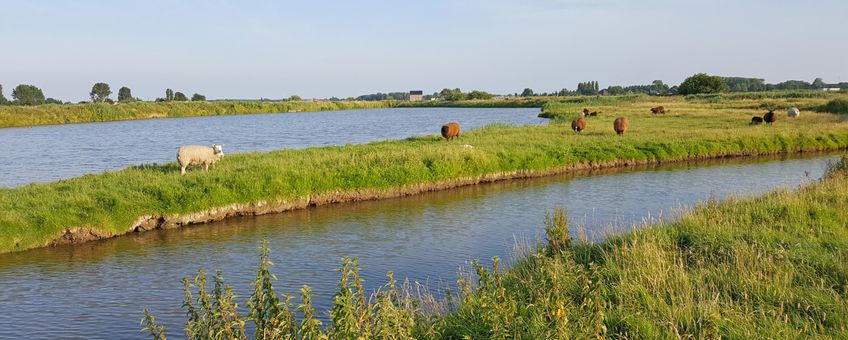 natuurvriendelijke oever