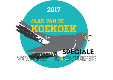 Ga mee koekoeken ontdekken in de Nationale Vogelweek!