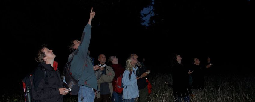 Vleermuizen kijken tijdens kamp