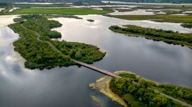 Biesbosch, Werkendam, ter hoogte van de Galeiweig