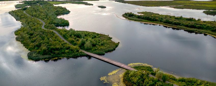 Biesbosch, Werkendam, ter hoogte van de Galeiweig