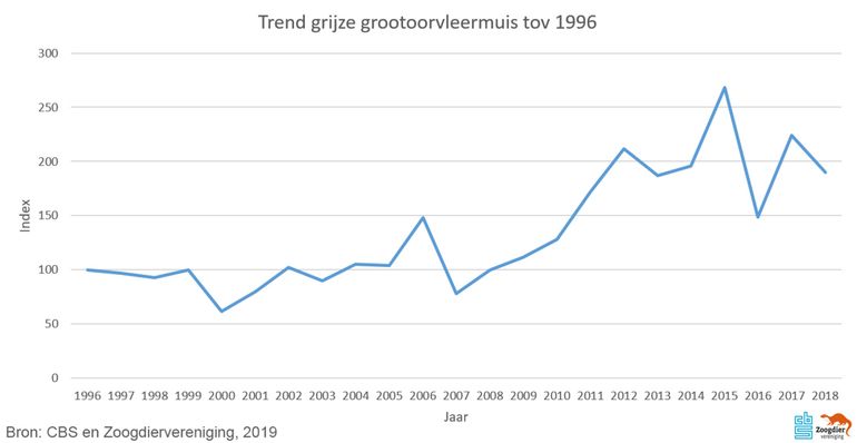 Trend grijze grootoorvleermuis vanaf 1996