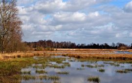 Westerveld, Achterlandseveen