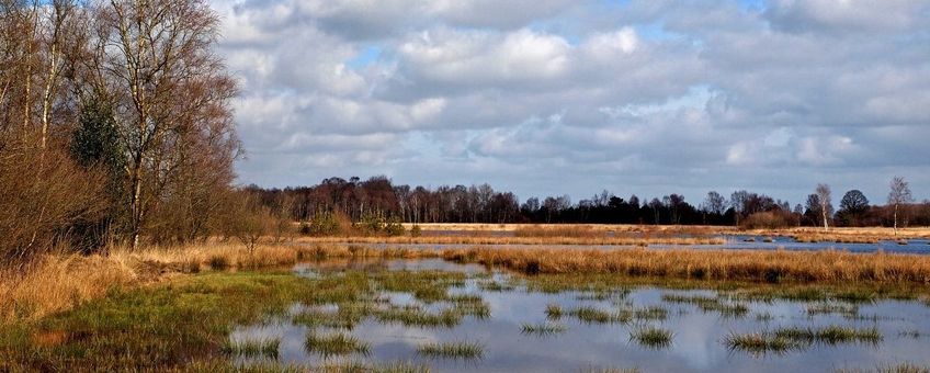 Westerveld, Achterlandseveen