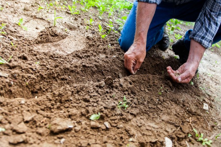 Wie goed zorgt voor bodem, biodiversiteit, landschap en water heeft bij de provincie Noord-Brabant een streepje voor