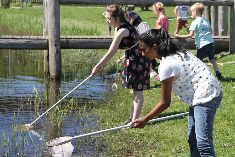 Waterdiertjes vangen door GLOBE-leerlingen