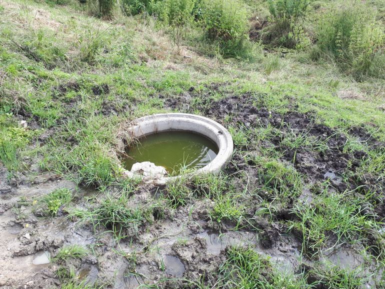 Ingegraven betonbak als kunstmatig voortplantingswater voor geelbuikvuurpad