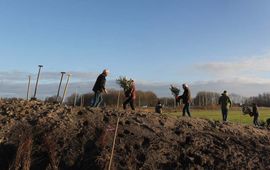 Bewoners van een buurt planten bomen