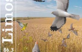 Nederlandse Ornithologische Unie Omslag themanummer Limosa