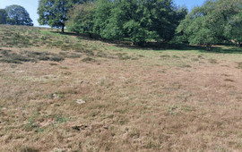 Droog schraalland Mosselsche veld Planken wambuis