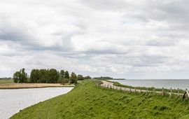 Rosita Stumpel Voedselbos Schellinkwoud