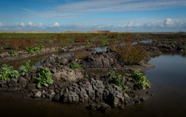 Marker Wadden 2018