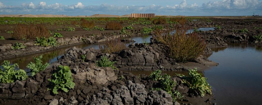 Marker Wadden 2018