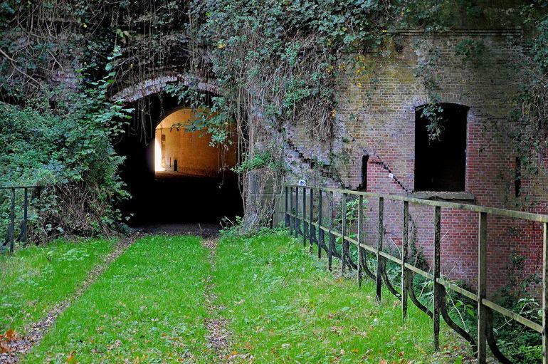 Fort Steendorp is één van de belangrijkste winterverblijfplaatsen van vleermuizen in België