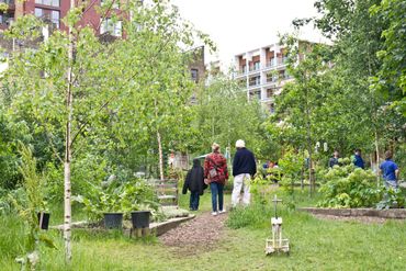 Ook in het park is ruimte voor meer groen