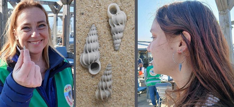 Links: het wenteltrapje is altijd een welkome vondst, maar het wordt weinig gevonden en geteld. Rechts: deze  prachtige slakkenhuisjes lenen zich mooi voor een oorbel