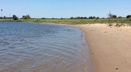Strandje rivierrombout - primair